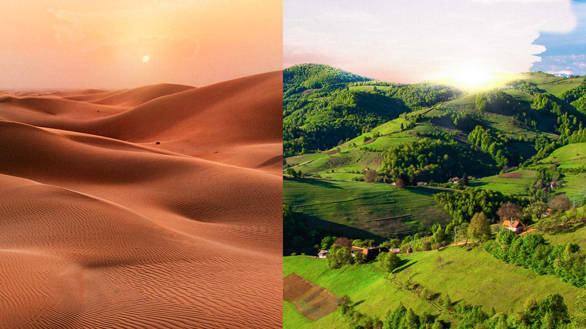 ماذا لو استطعنا تحويل الصحارى إلى أراضٍ زراعية؟ Meta Science